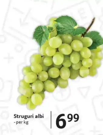 Selgros Struguri albi Ofertă