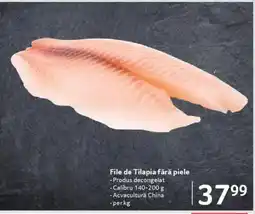 Selgros File de Tilapia fără piele Ofertă