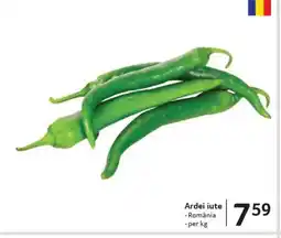 Selgros Ardei iute Ofertă