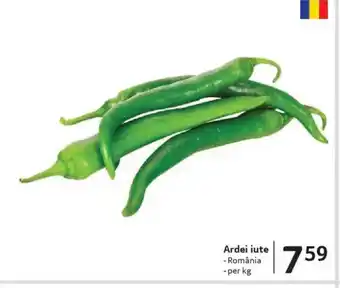 Selgros Ardei iute Ofertă
