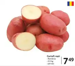 Selgros Cartofi roşii Ofertă
