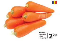 Selgros Morcovi Ofertă