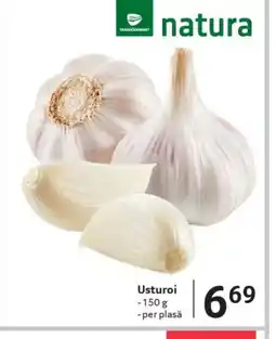 Selgros Usturoi Ofertă