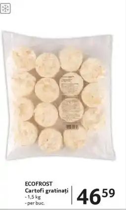 Selgros ECOFROST Cartofi gratinați Ofertă