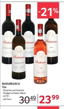 Selgros BUDUREASCA Vin Ofertă