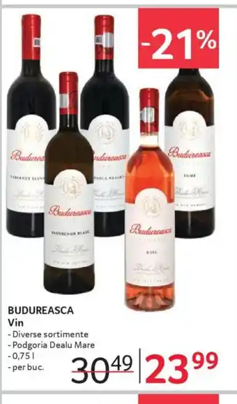 Selgros BUDUREASCA Vin Ofertă