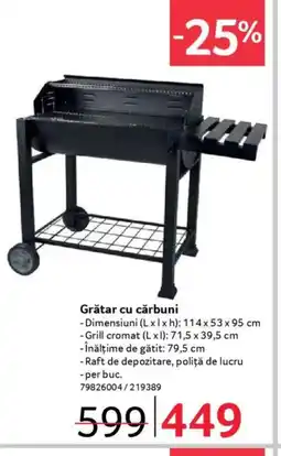 Selgros Grătar cu cărbuni Ofertă