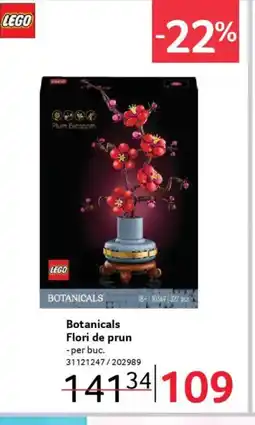 Selgros Botanicals Flori de prun Ofertă