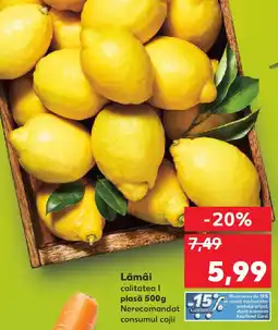Kaufland Lămâi Ofertă