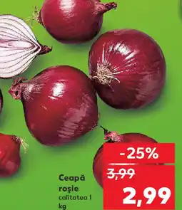 Kaufland Ceapă roşie Ofertă