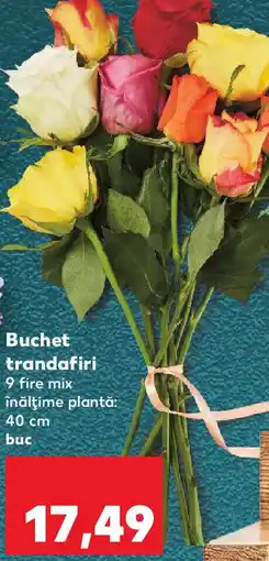 Kaufland Buchet trandafiri Ofertă
