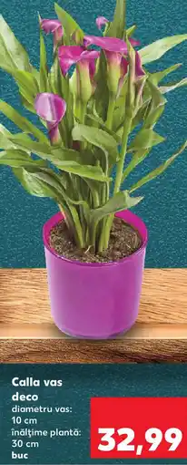 Kaufland Calla vas deco Ofertă