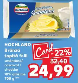 Kaufland HOCHLAND Brânză topită felii Ofertă