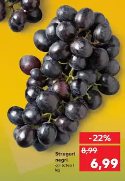 Kaufland Struguri negri Ofertă