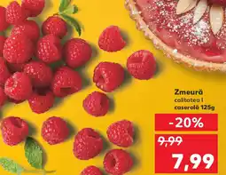 Kaufland Zmeură Ofertă