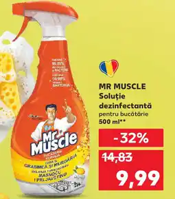 Kaufland MR MUSCLE Soluţie dezinfectantă Ofertă