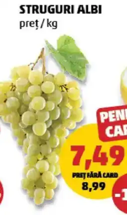 Penny Struguri albi Ofertă
