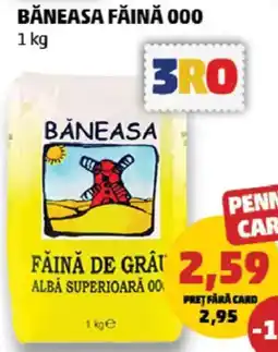 Penny Băneasa făină 000 Ofertă