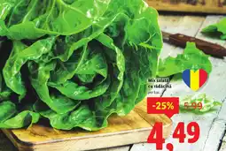 Lidl Mix salatǎ cu rădăcină Ofertă