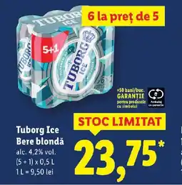 Lidl Tuborg Ice Bere blondǎ Ofertă