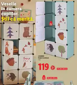 Lidl LIVARNO Etajerǎ modularǎ Ofertă