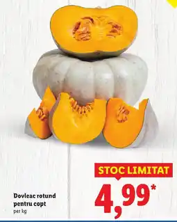 Lidl Dovleac rotund pentru copt Ofertă