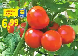 Lidl Roşii bio Ofertă