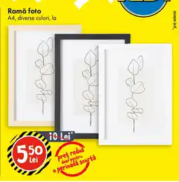 TEDI Ramă foto Ofertă
