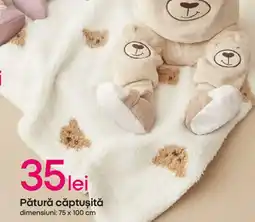 Pepco Pătură căptuşită Ofertă