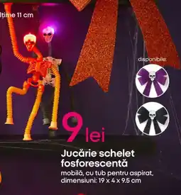 Pepco Jucărie schelet fosforescentă Ofertă