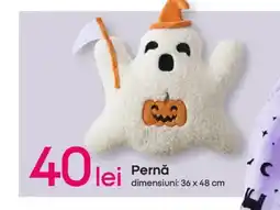 Pepco Pernǎ Ofertă