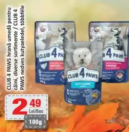 CBA CLUB 4 PAWS hrană umedă pentru câini Ofertă