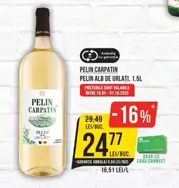 Mega Image PELIN CARPATIN Pelin alb de urlați Ofertă