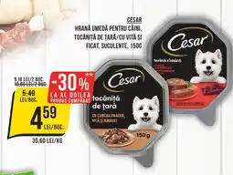 Mega Image CESAR Hrană umedă pentru câini, tocăniță de țară/cu vită și ficat, suculente Ofertă