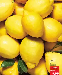 Kaufland Lămâi Ofertă