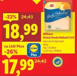 Lidl Milbona Brânză Gouda Holland I.G.P. Ofertă