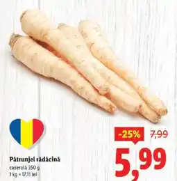 Lidl Pătrunjel rădăcină Ofertă
