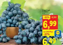 Lidl Struguri negri cu sâmburi Ofertă