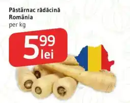 Supeco Pǎstârnac rădăcină România Ofertă