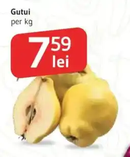 Supeco Gutui Ofertă