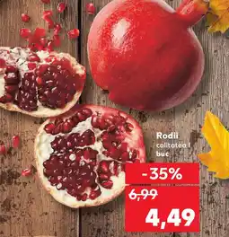 Kaufland Rodii Ofertă