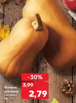 Kaufland Dovleac plăcintar Ofertă