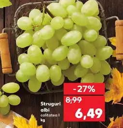 Kaufland Struguri albi Ofertă