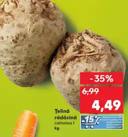 Kaufland Ţelină rădăcină Ofertă