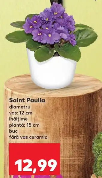 Kaufland Saint Paulia Ofertă