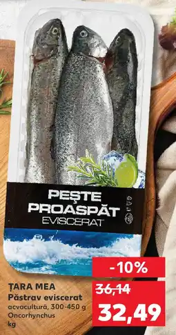 Kaufland TARA MEA Păstrav eviscerat Ofertă