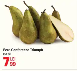 Carrefour Pere Conference Triumph Ofertă
