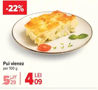 Carrefour Pui vienez Ofertă