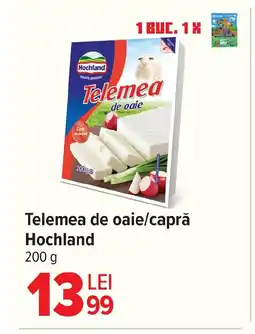 Carrefour Telemea de oaie/capră Hochland Ofertă