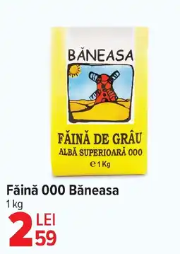 Carrefour Făină 000 Băneasa Ofertă
